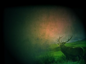 Deer Worship Background